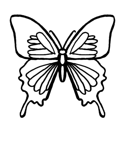 Butterfly Coloring Pages (11)