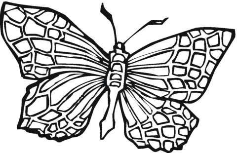 Butterfly Coloring Pages (17)