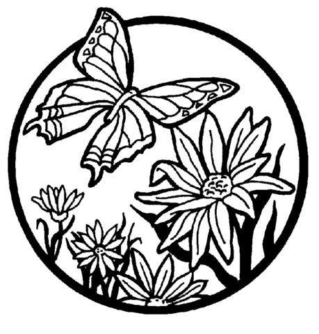 Butterfly Coloring Pages (3)
