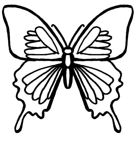 Butterfly Coloring Pages (31)