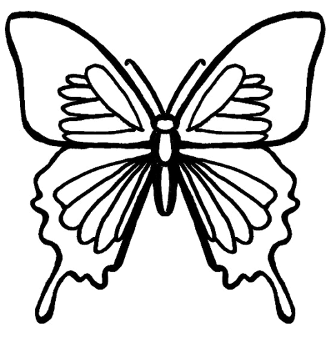 Butterfly Coloring Pages - Coloringkids.org