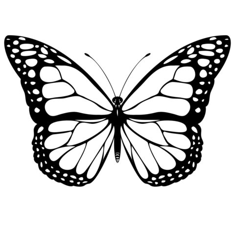 Butterfly Coloring Pages (6)