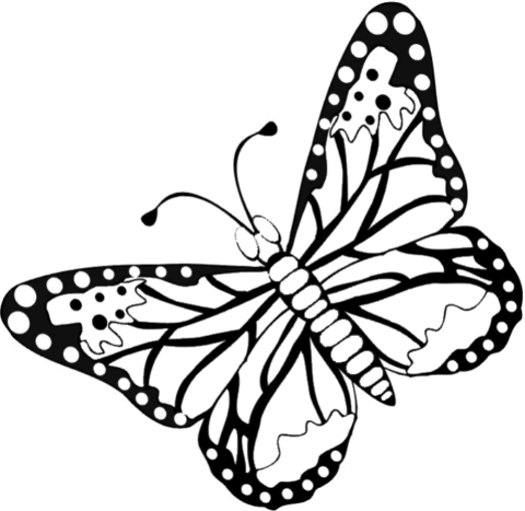 Butterfly Coloring Pages (8)