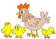 chickens coloring pages