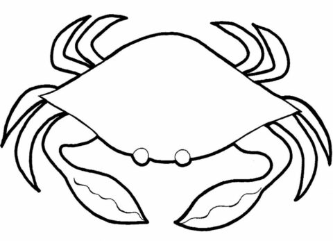 crabs10