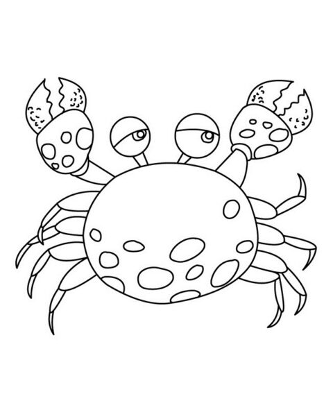 crabs3