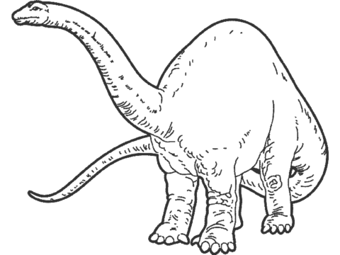 Dinosaur Coloring Pages (18)