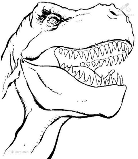 Dinosaur Coloring Pages (4)