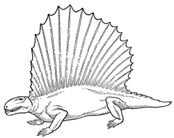 Dinosaur Coloring Pages (9)
