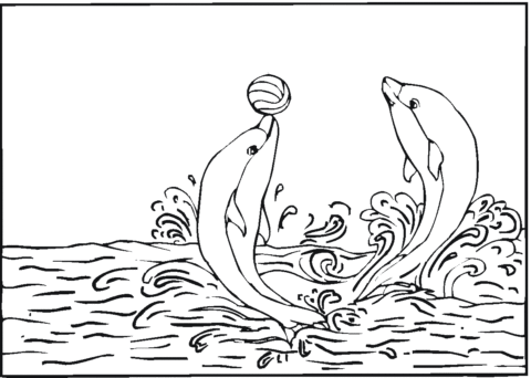 Dolphin Coloring Pages (10)