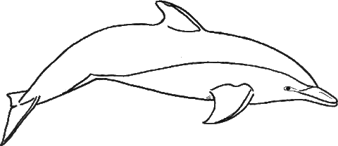 Dolphin Coloring Pages (11)