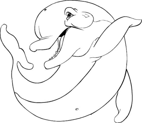 Dolphin Coloring Pages (17)