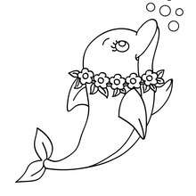 Dolphin Coloring Pages (7)