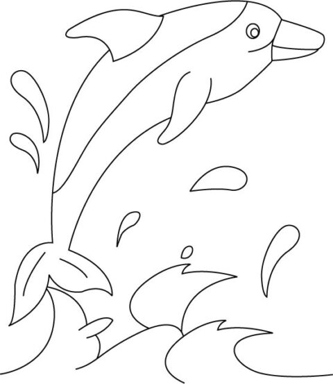 Dolphin Coloring Pages (9)
