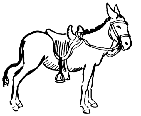 donkeys coloring pages