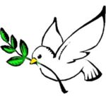 dove-peace