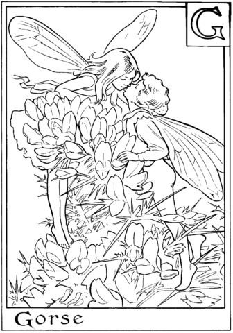 Fairies Coloring Pages (19)