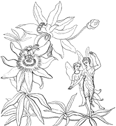 Fairies Coloring Pages (20)