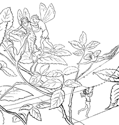 Fairies Coloring Pages (8)