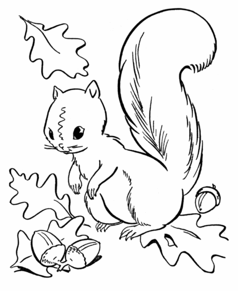 Fall Coloring Pages (2)