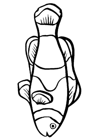 Fish Coloring Pages (10)