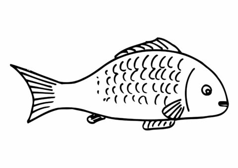 Fish Coloring Pages (11)