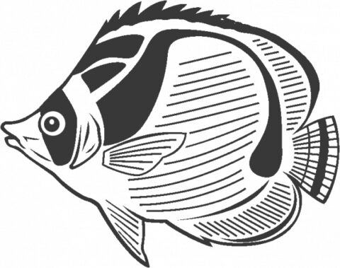 Fish Coloring Pages (28)