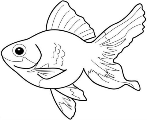 Fish Coloring Pages (3)