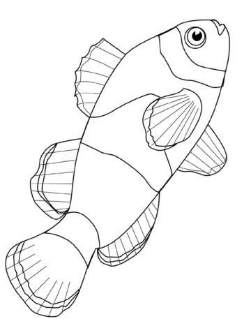 Fish Coloring Pages (6)