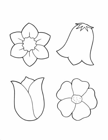 Flower Coloring Pages (10)