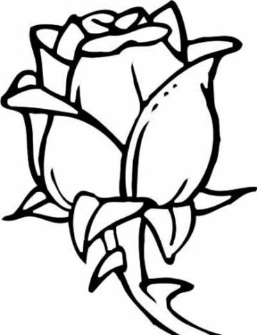 Flower Coloring Pages (15)