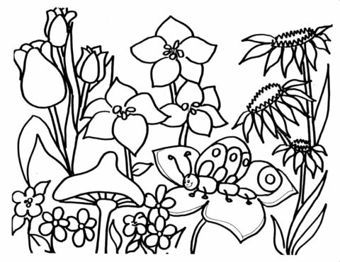 Flower Coloring Pages (18)
