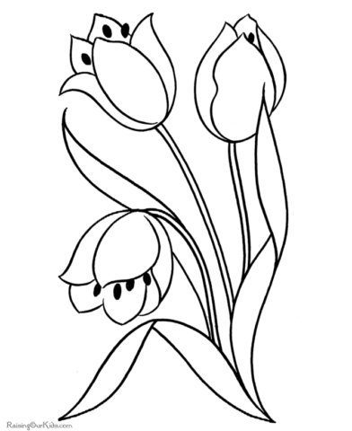 Flower Coloring Pages (19)