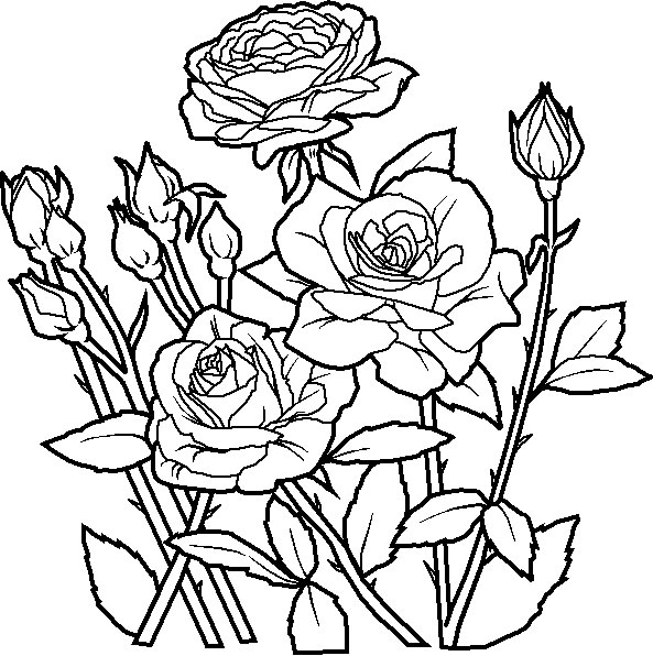 Flower Coloring Pages - Coloring Kids