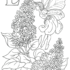Flower Fairies Coloring Pages