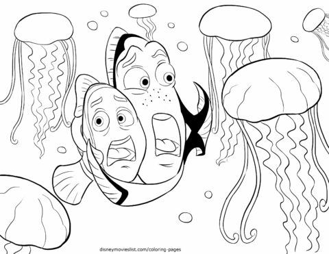jellyfish4