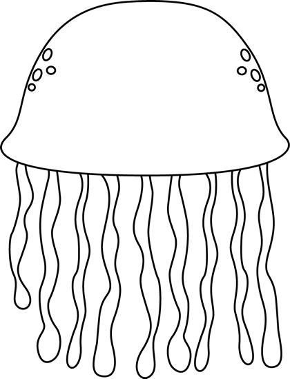 jellyfish7