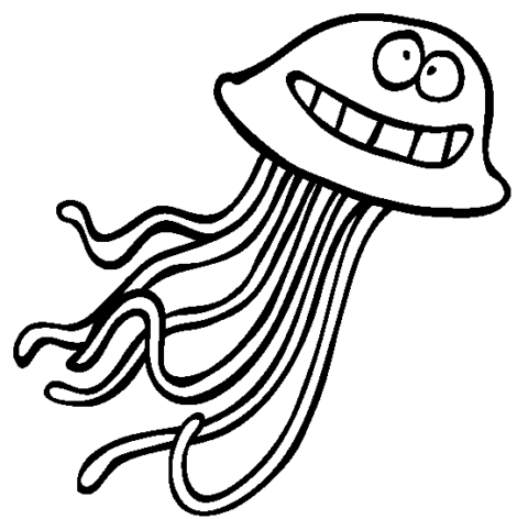 jellyfish8