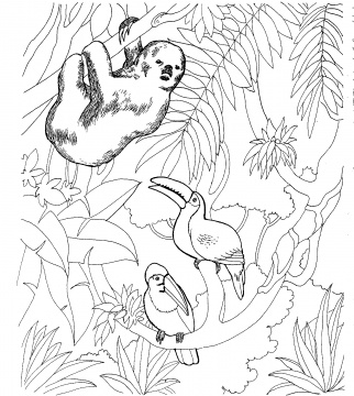 Jungle Coloring Pages (12)