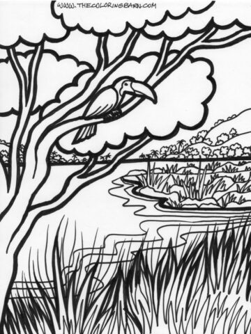 Jungle Coloring Pages (22)