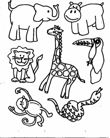 Jungle Coloring Pages (23)
