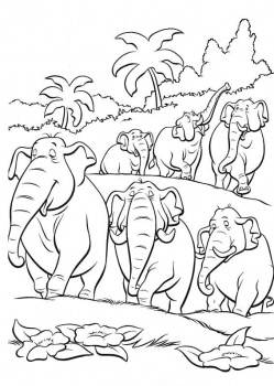 Jungle Coloring Pages (27)