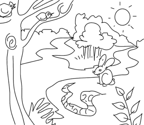Jungle Coloring Pages (4)