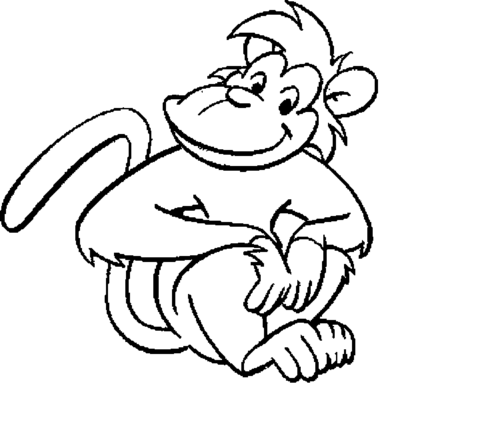 monkey3