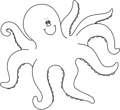 octopus6