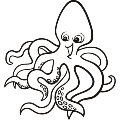 octopus7