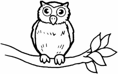 owl-coloring-pages-3