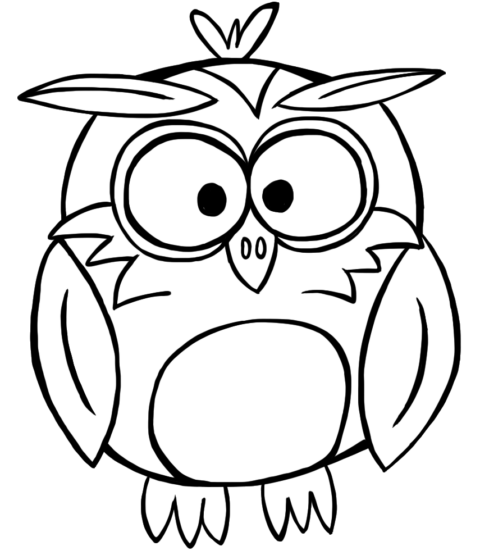 owls7