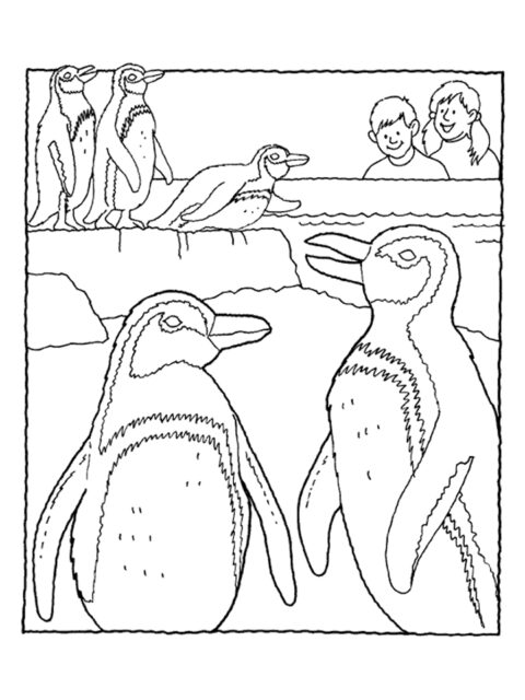 Penguin Coloring Pages (6)