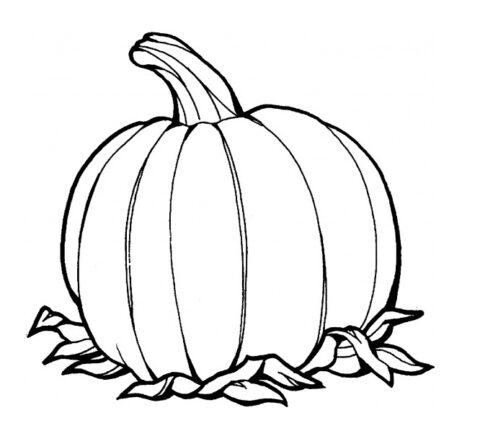 Pumpkin Coloring Pages (9)